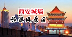 黄片鸡吧插穴高清操逼无码中国陕西-西安城墙旅游风景区
